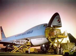 1545702544414821.jpg 國際運輸