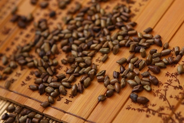 1631010227352330.jpg 印度決明子進(jìn)口清關(guān)