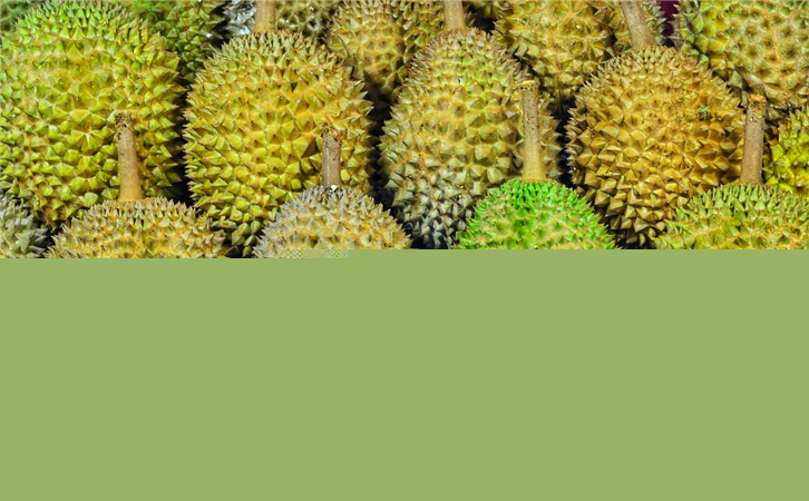 馬來西亞榴蓮進(jìn)口報(bào)關(guān)