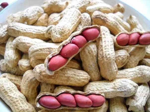 1638359170278940.jpg 花生進(jìn)口清關(guān)代理需要的資質(zhì)以及資料_副本.jpg