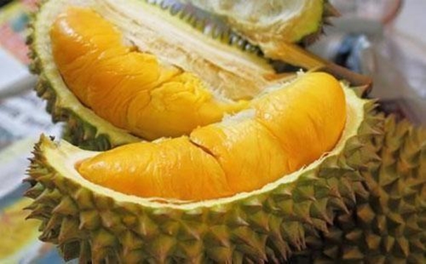 進口馬來西亞榴蓮清關(guān)為大家講解3大重要內(nèi)容 進口馬來西亞榴蓮清關(guān)