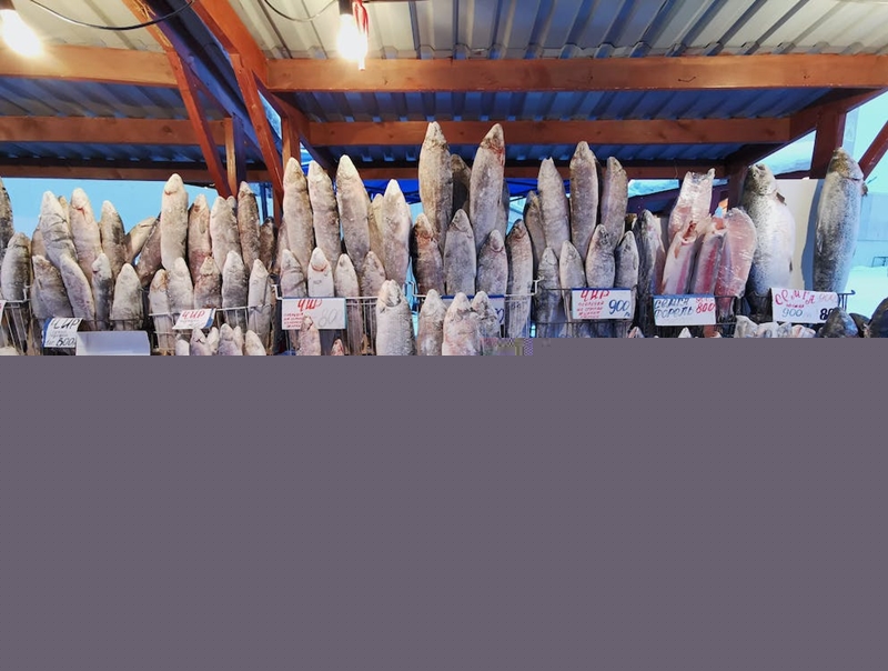 1670985506630751.jpg 菲律賓凍魚進口報關_副本.jpg