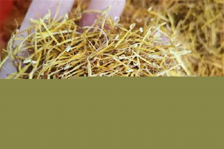 1649843920578252.jpg 中藥材蓮須進(jìn)口報(bào)關(guān).jpg