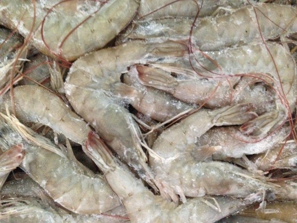 1638359054423181.jpg 冷凍水產(chǎn)品進口清關資料簡介_進口水產(chǎn)品標簽問題_副本.jpg