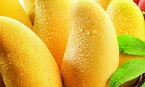 1571103073623975.jpg 泰國芒果進(jìn)口報關(guān)