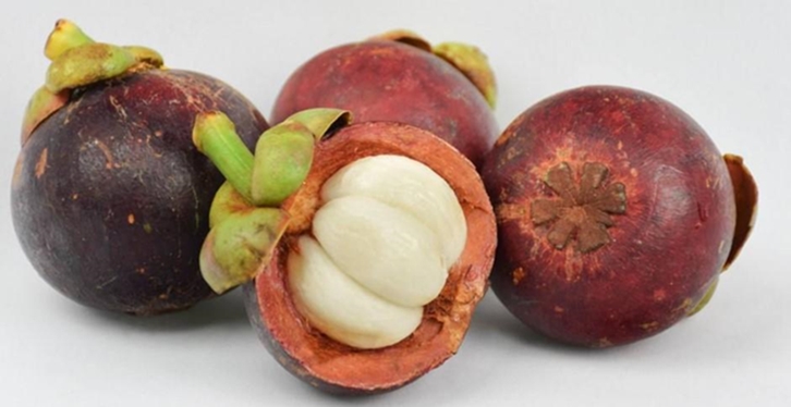 【馬來(lái)西亞山竹進(jìn)口清關(guān)代理公司】指導(dǎo)您如何進(jìn)口 馬來(lái)西亞山竹進(jìn)口清關(guān)代理公司