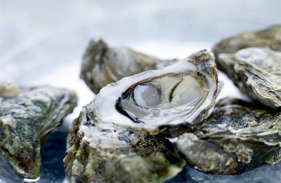 1599702606338492.jpg 生蠔進口清關代理