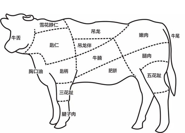 冷凍牛肉進(jìn)口報關(guān)需注意的操作細(xì)節(jié) 冷凍牛肉進(jìn)口報關(guān)